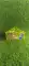Lemon Tree
